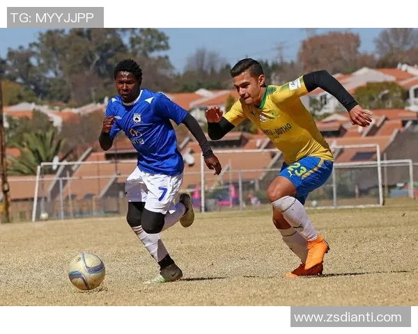 赵静独家揭秘：深入解析足球技巧与战术心得分享