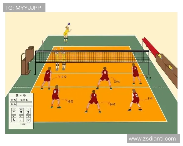 成都排球队反击体系解析：排球战术的创新与实践探索MBA