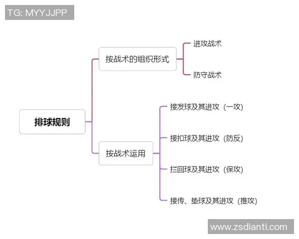南京排球队控制打法深度分析与战术解读