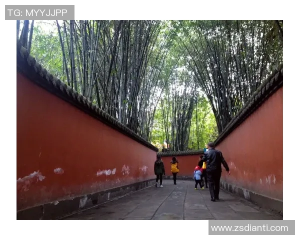 攀岩新视角：探索成都攀岩队的成长与转型之路