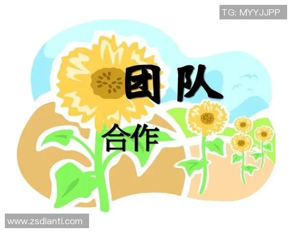 深圳排球队阵地战解析：战术创新与团队协作的完美结合